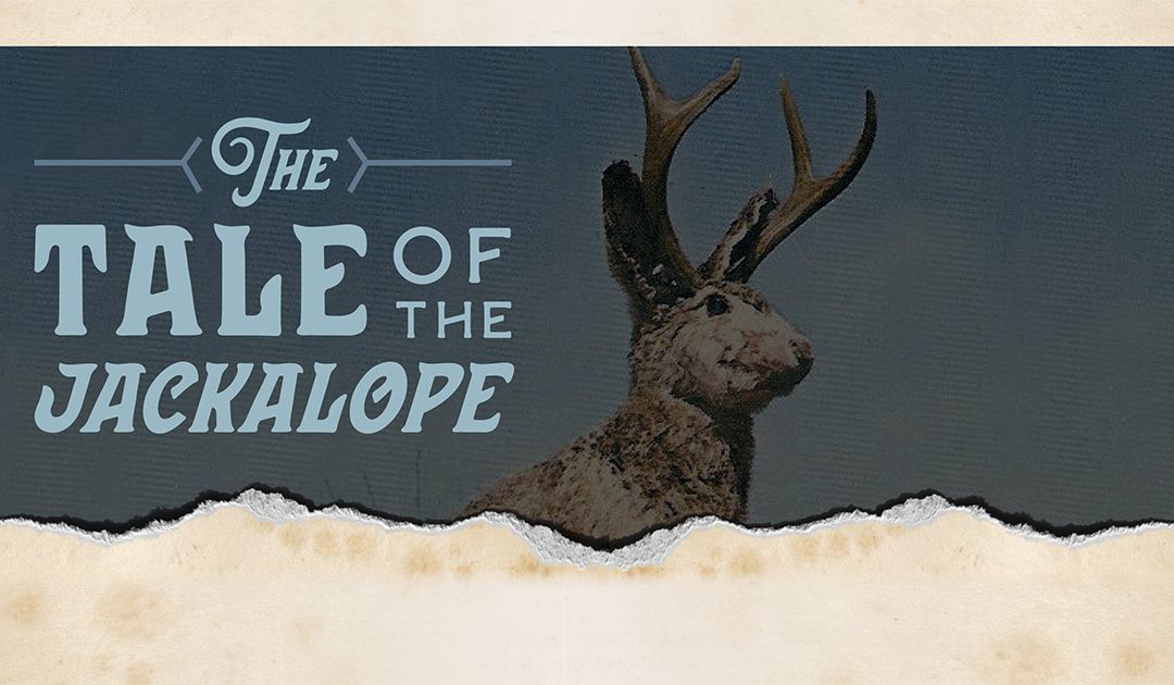 Discover Jaxon & The Tale Of The Jackalope